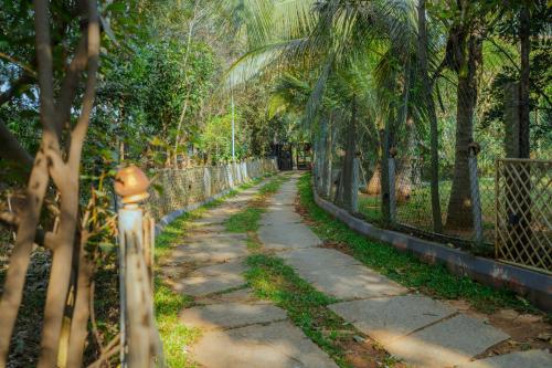 Walkway to the farmhouse